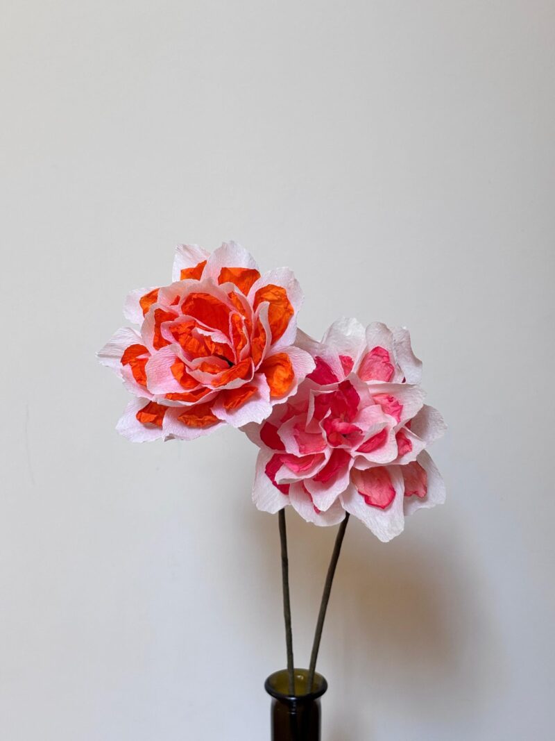 Turuncu Double Daffodil - Görsel 3