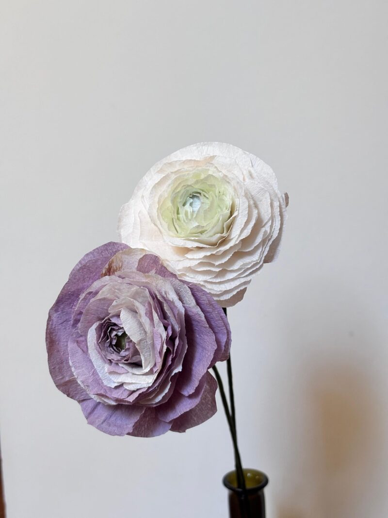 Renkli Ranunculus - Görsel 3