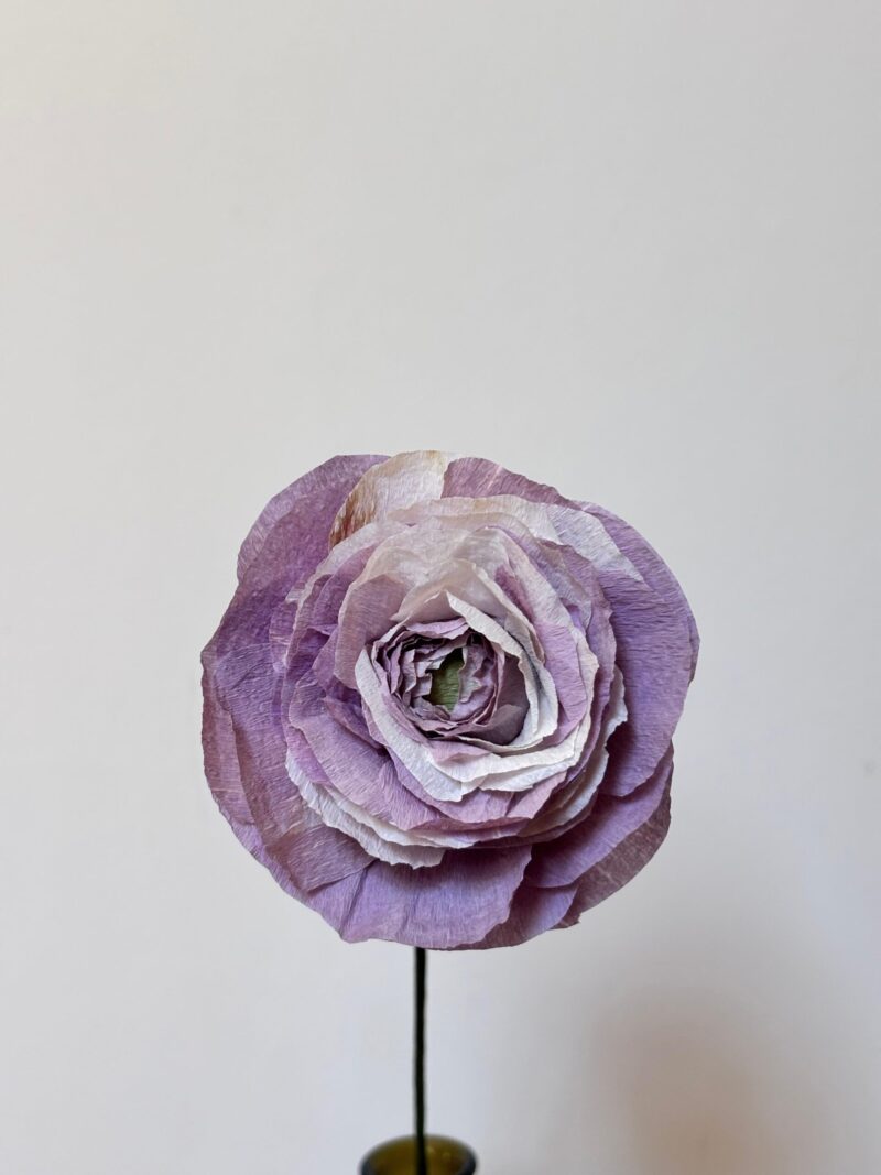 Renkli Ranunculus - Görsel 2