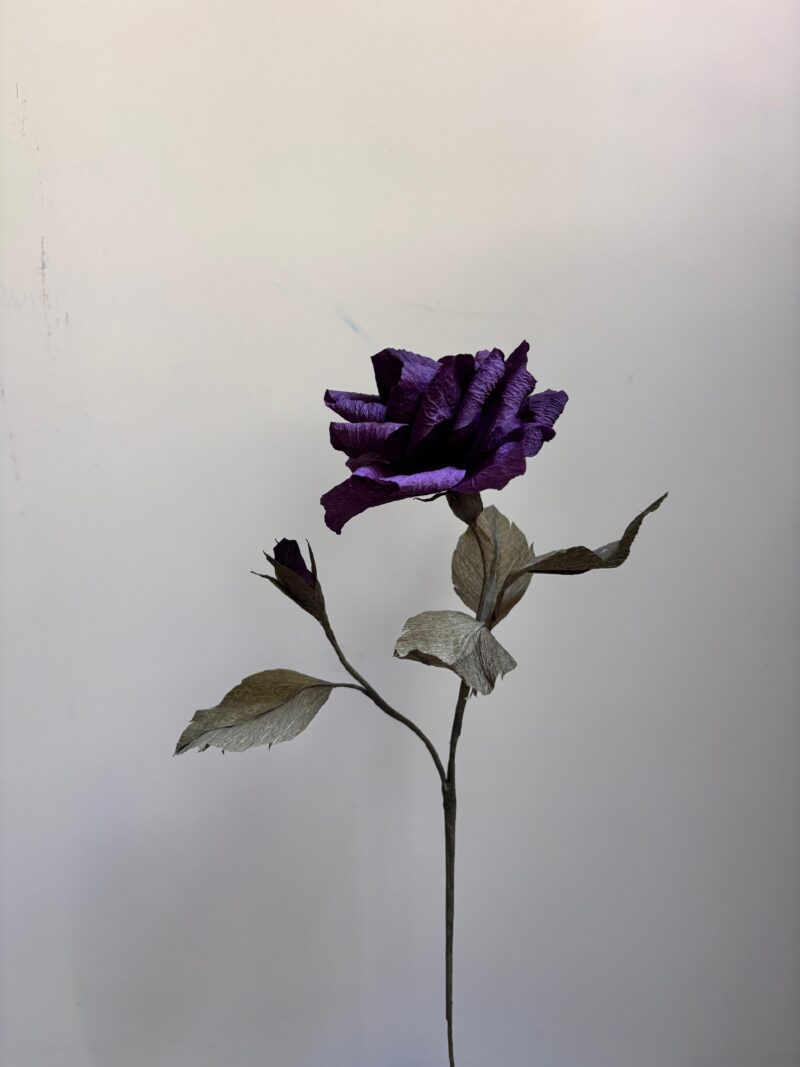 Gül Dalı - Görsel 3