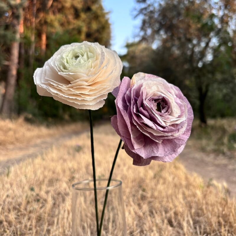 Renkli Ranunculus - Görsel 4